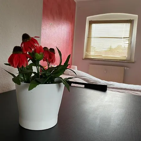New Beautiful Place In The Village Near Leipzig Apartment