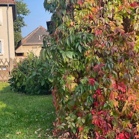 New Beautiful Place In The Village Near Leipzig * Elsteraue