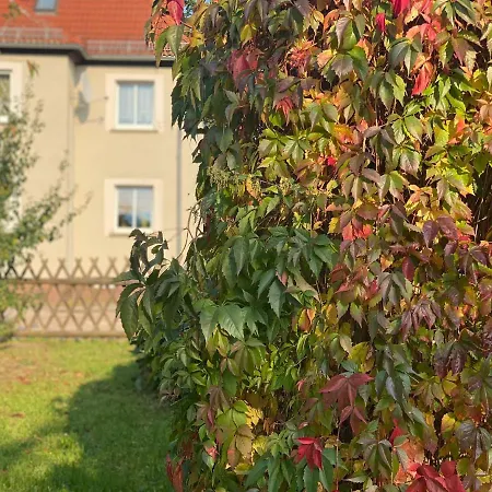 New Beautiful Place In The Village Near Leipzig Apartment *