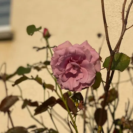 New Beautiful Place In The Village Near Leipzig Elsteraue